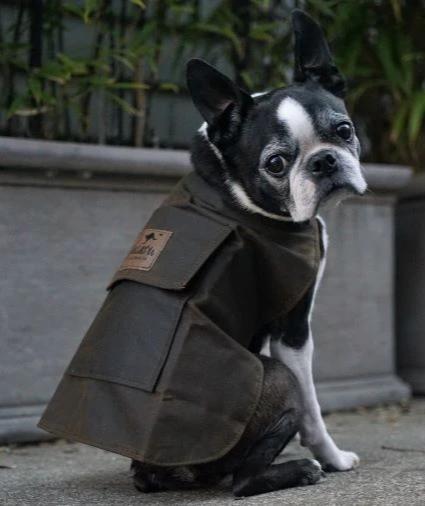 Jacaru Dog Coat (6510) Brown M 53cm - Image 3