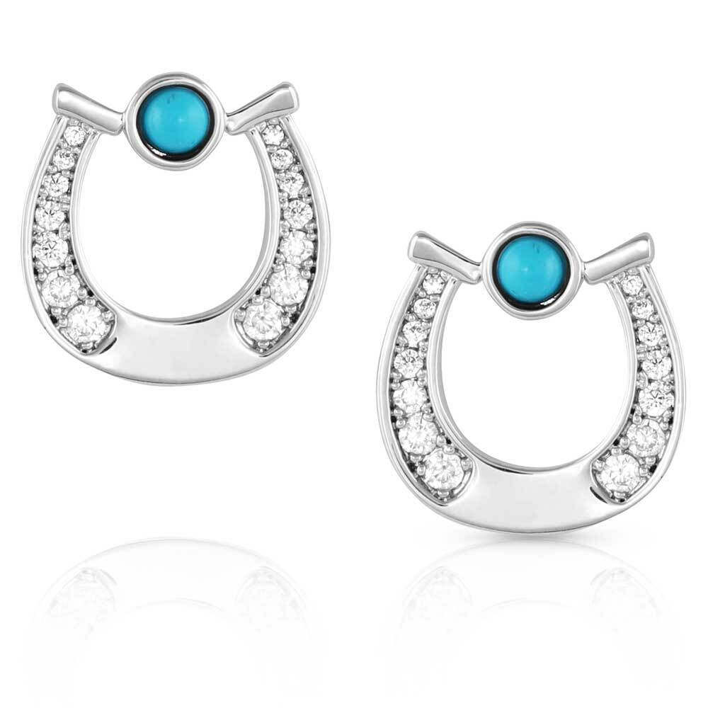 Montana Silversmiths Montana Earrings (ER5508)