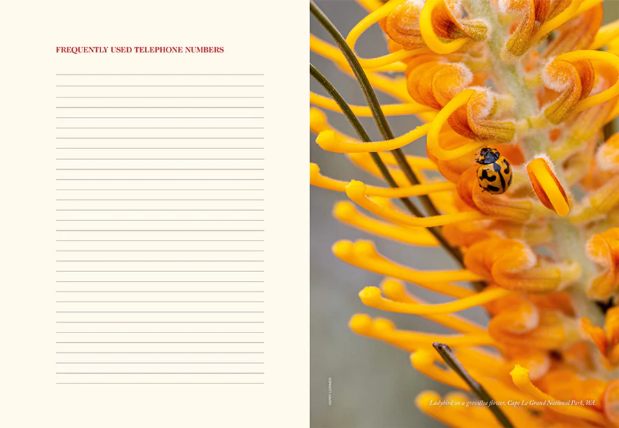 R.M.Williams Unisex Outback 2024 Diary (V2024.DIA) - Image 4