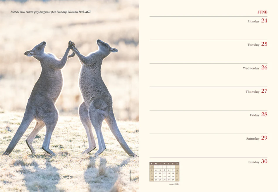 R.M.Williams Unisex Outback 2024 Diary (V2024.DIA) - Image 9